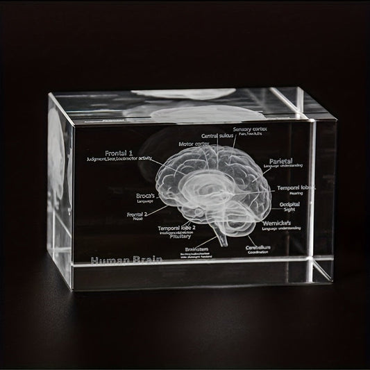 NeuroCrystal™ - 3D Brain Model